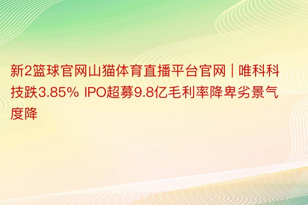 新2篮球官网山猫体育直播平台官网 | 唯科科技跌3.85% IPO超募9.8亿毛利率降卑劣景气度降