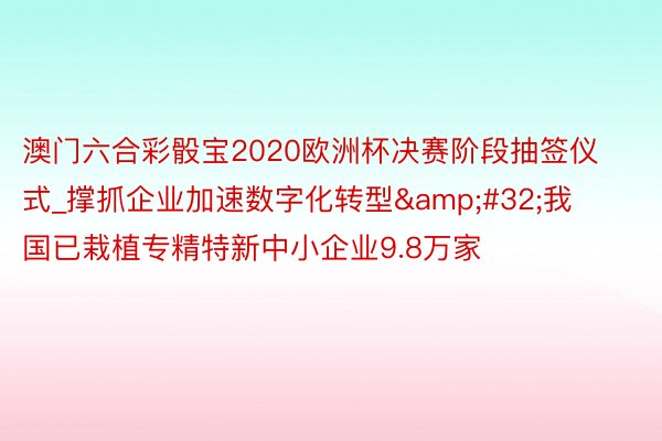 澳门六合彩骰宝2020欧洲杯决赛阶段抽签仪式_撑抓企业加速数字化转型&#32;我国已栽植专精特新中小企业9.8万家