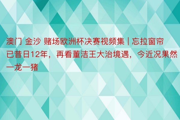 澳门 金沙 赌场欧洲杯决赛视频集 | 忘拉窗帘已昔日12年，再看董洁王大治境遇，今近况果然一龙一猪