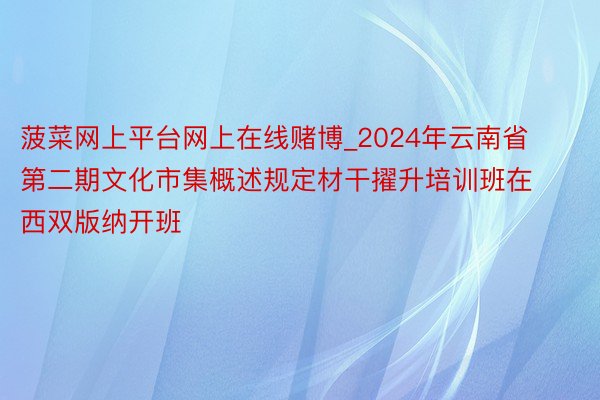 菠菜网上平台网上在线赌博_2024年云南省第二期文化市集概述规定材干擢升培训班在西双版纳开班