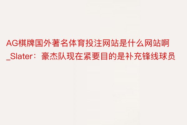 AG棋牌国外著名体育投注网站是什么网站啊_Slater：豪杰队现在紧要目的是补充锋线球员